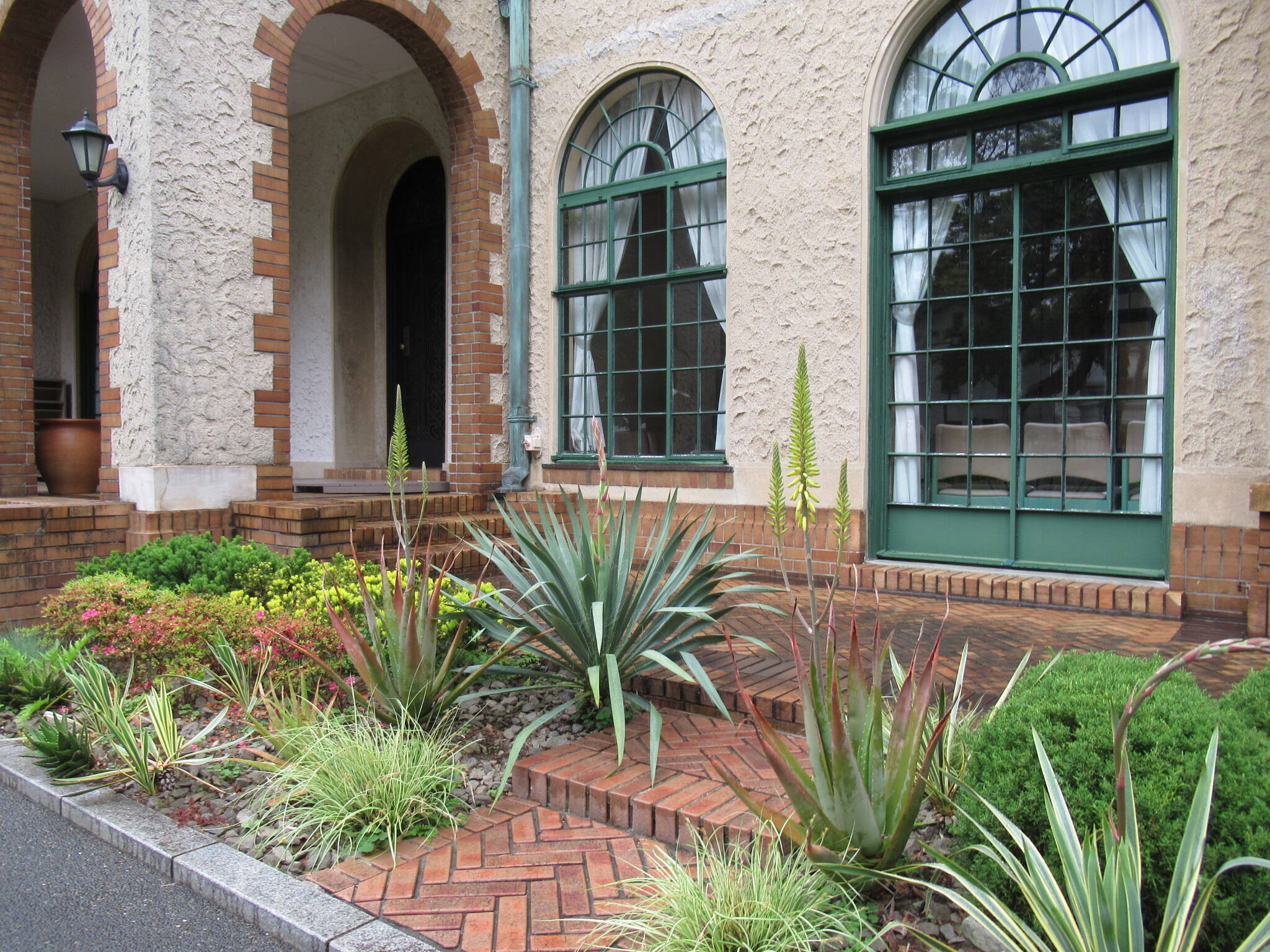 0510 アロエ (1).JPG