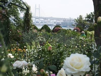s-2017.5.16イギリス館3.jpg