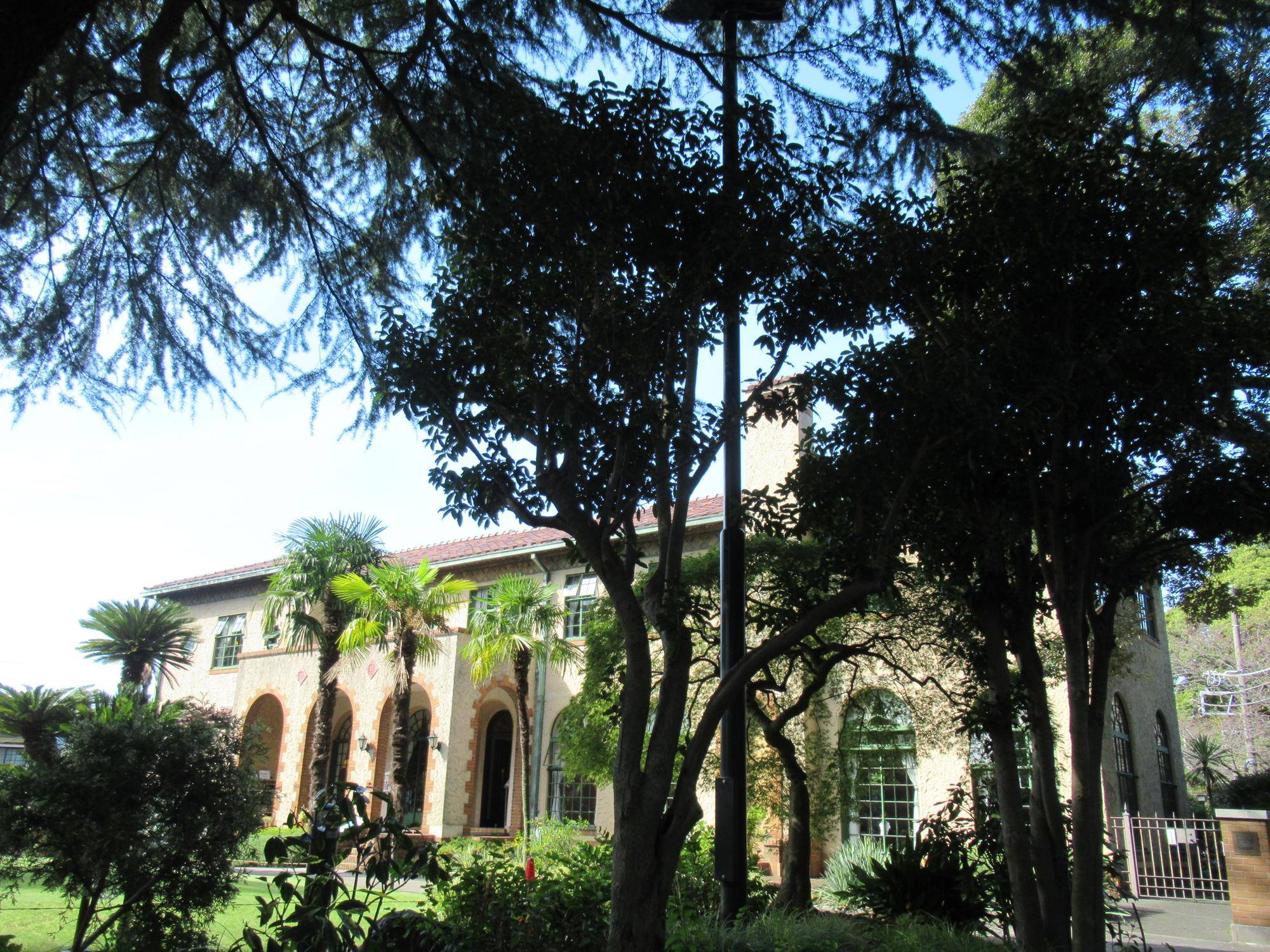 1013【ベーリック】 キンモクセイ.JPG