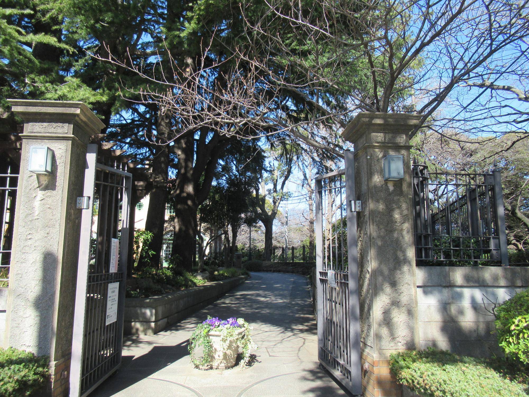 0228【ベーリック】 ヤエザクラ (2).JPG