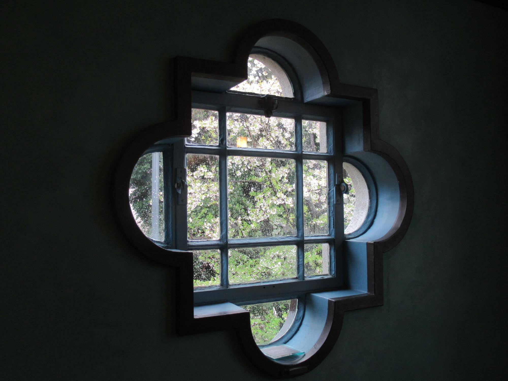 0409【ベーリック】オオシマザクラ (クワットレフォイルから).JPG