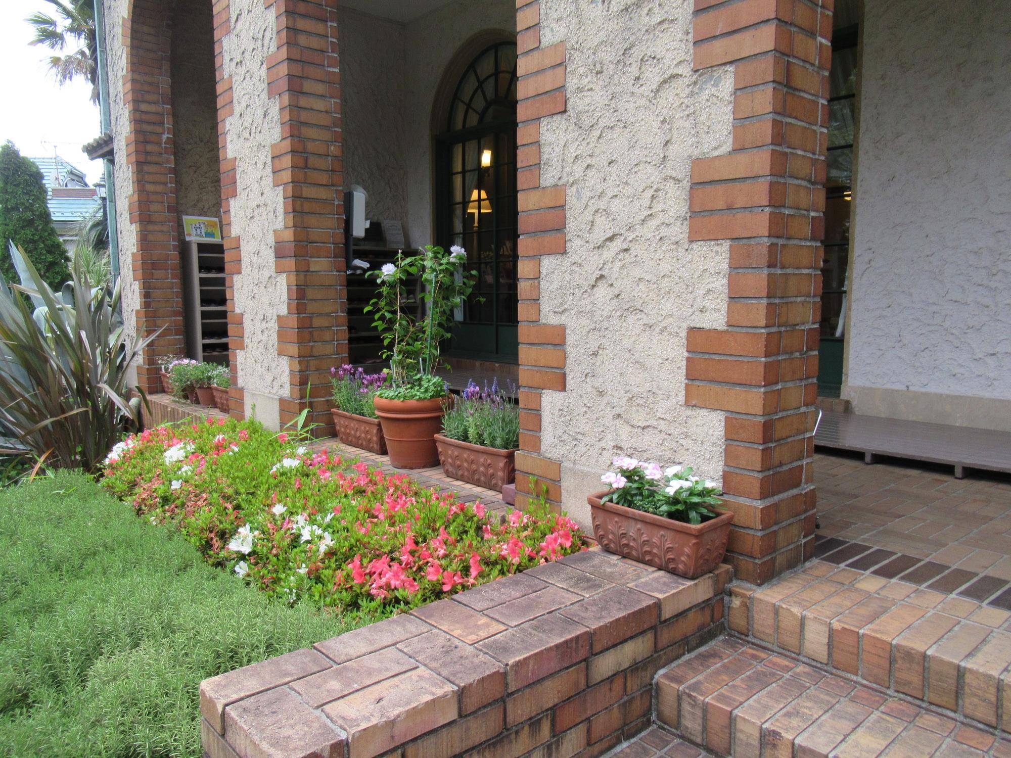 0519【ベーリック】花苗の植替え (3).JPG