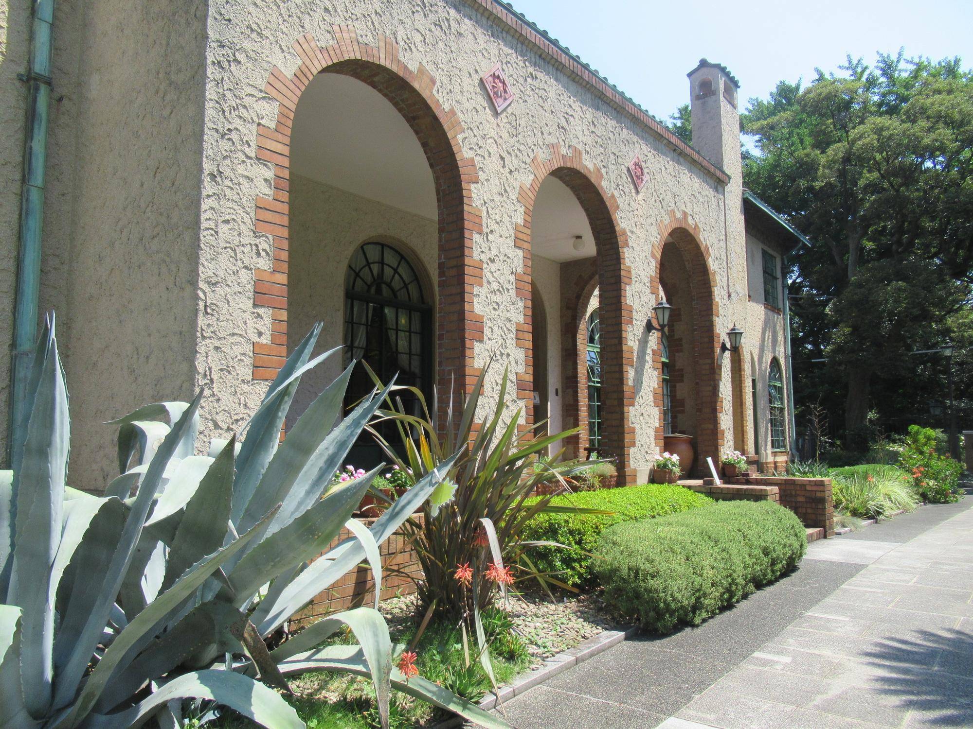 0705 【ベーリック】アロエ.JPG