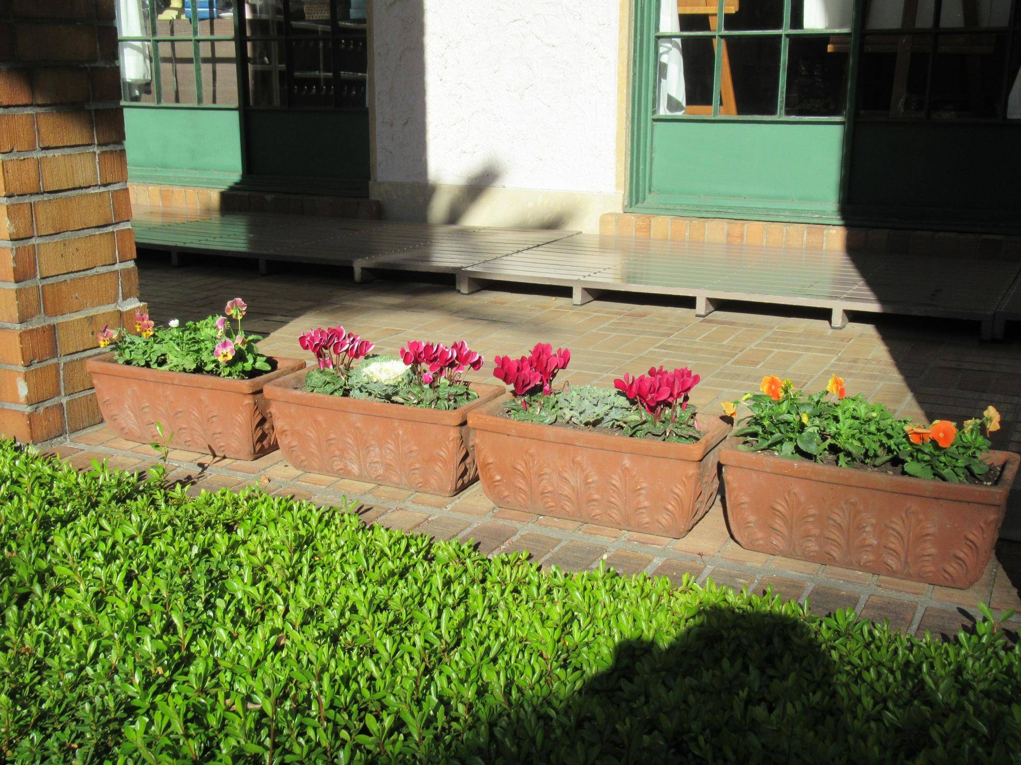 1124【ベーリック】花苗植替え 玄関ポーチ (1).JPG