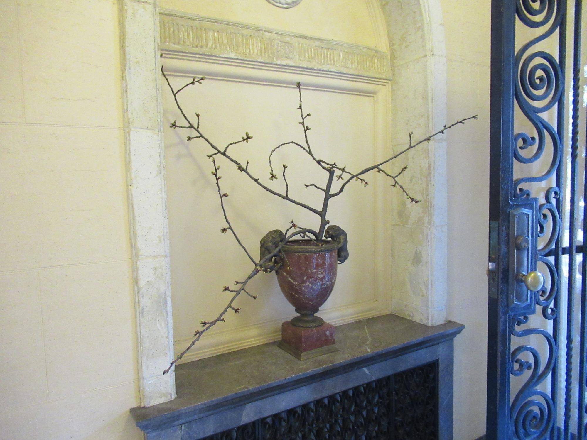 0204【ベーリック】河津桜 (2).JPG