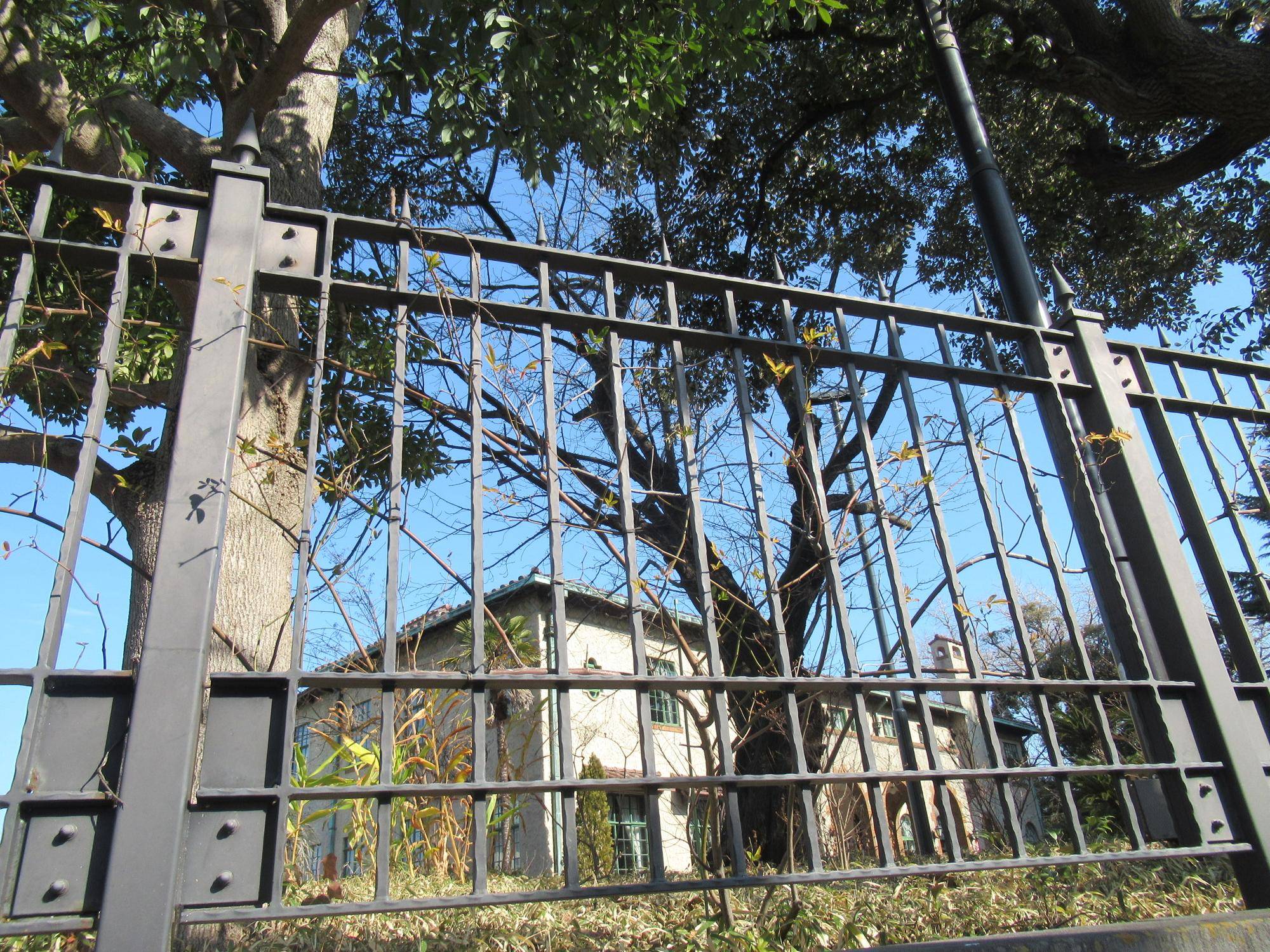 0201【ベーリック】バラの誘引作業 (1).JPG