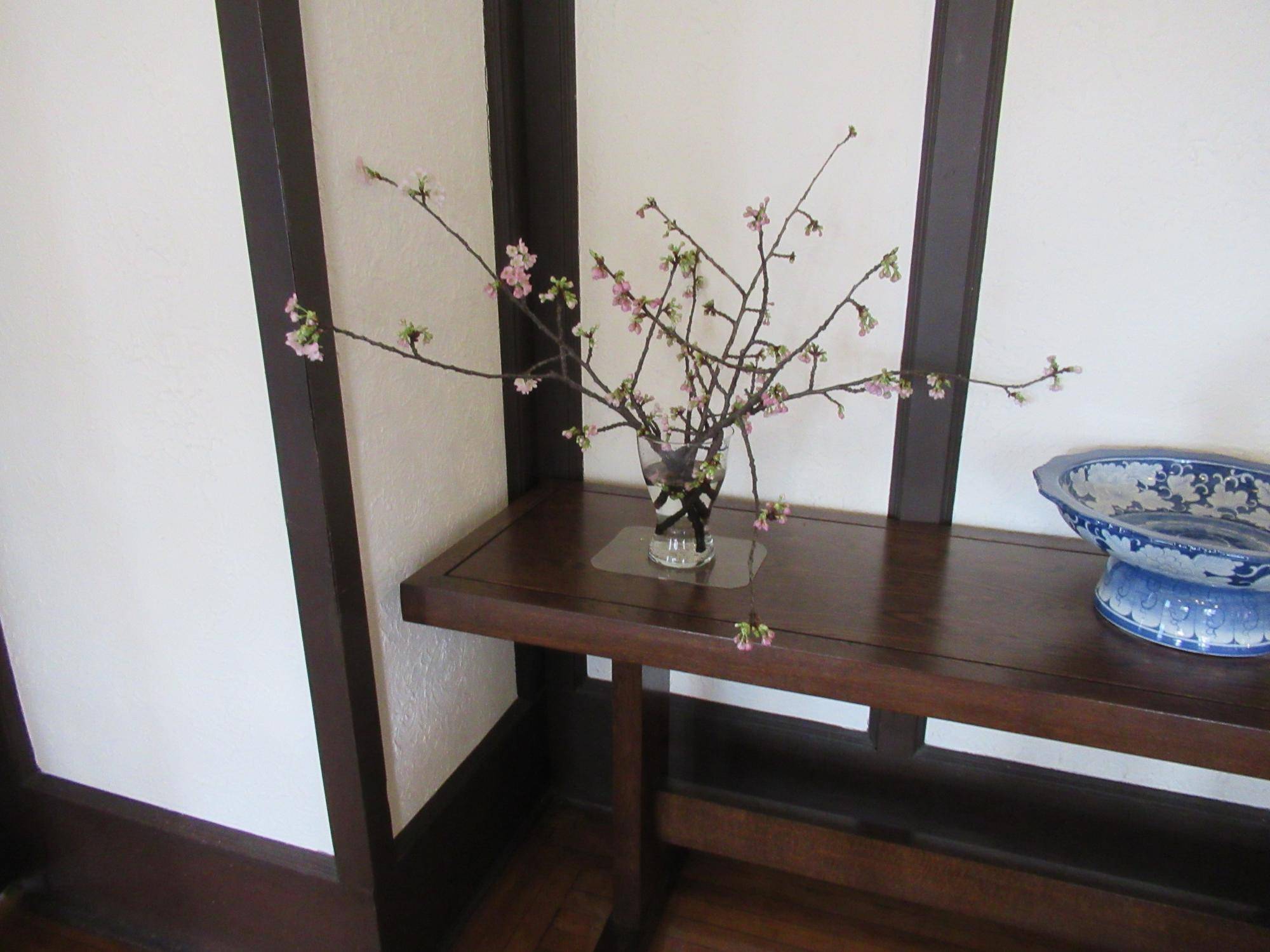 0218k【ベーリック】河津桜 (1).JPG