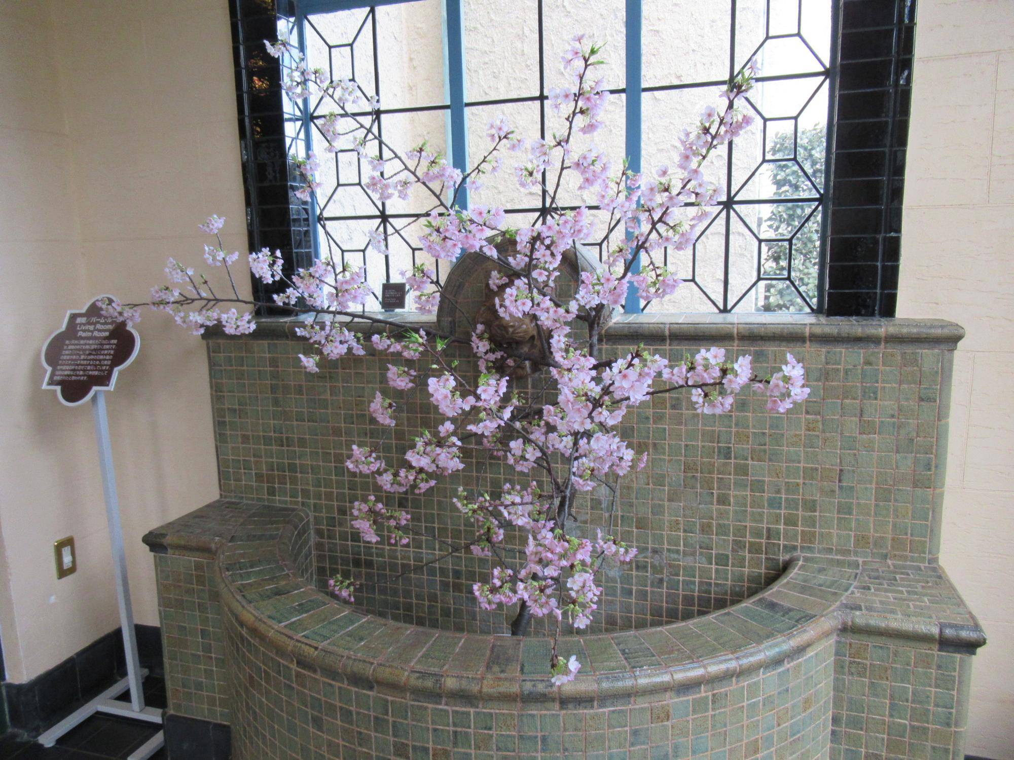 0218k【ベーリック】河津桜 (2).JPG