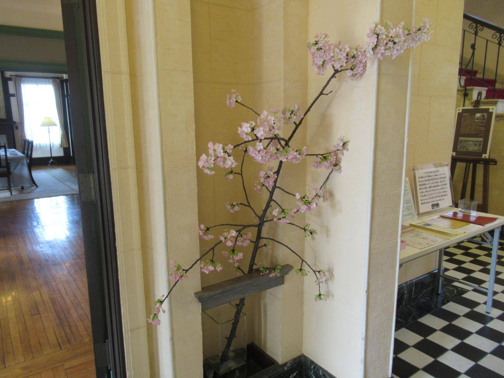 0218k【ベーリック】河津桜 (3).JPG