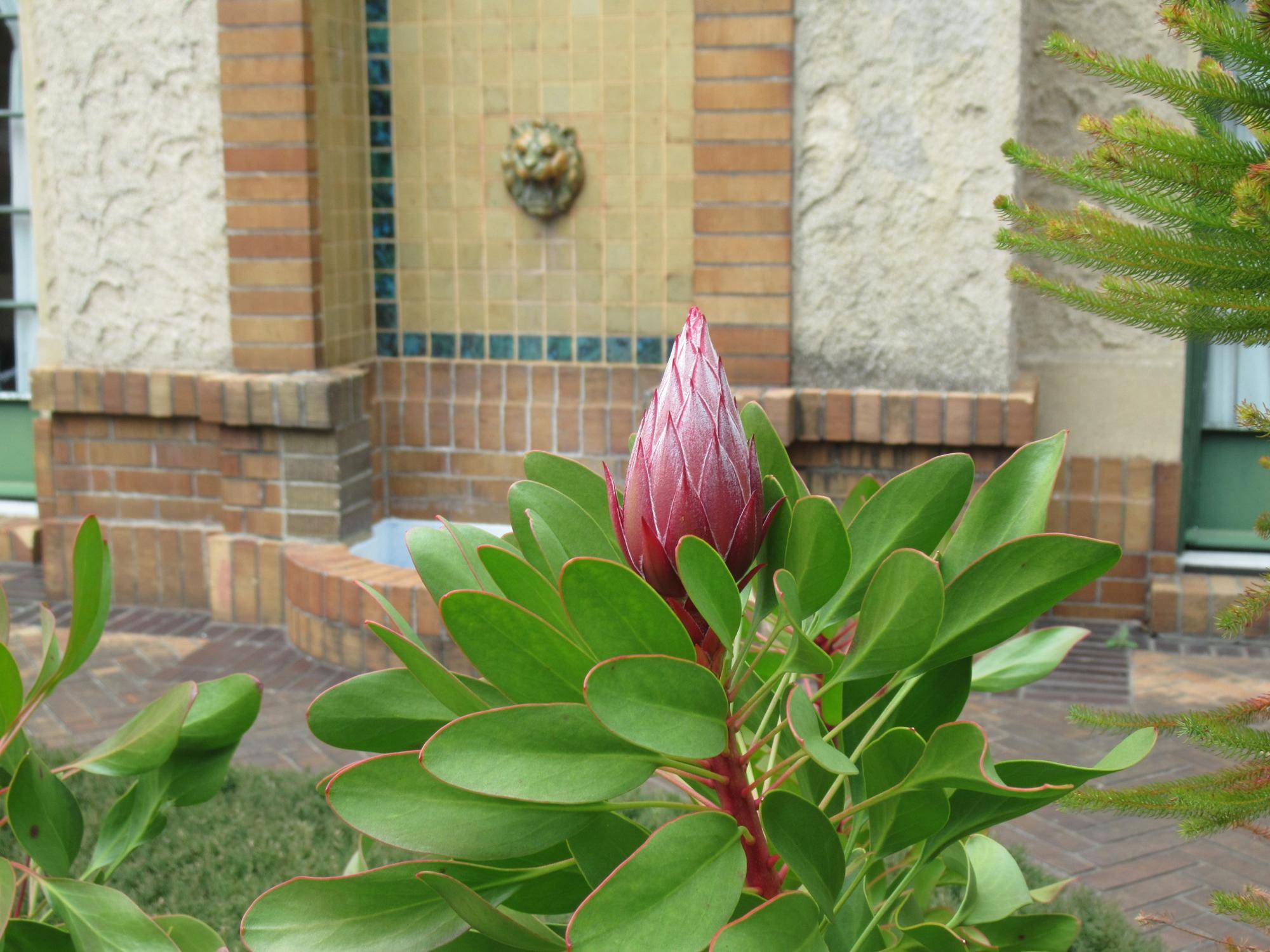 0311【ベーリック】 (3).JPG