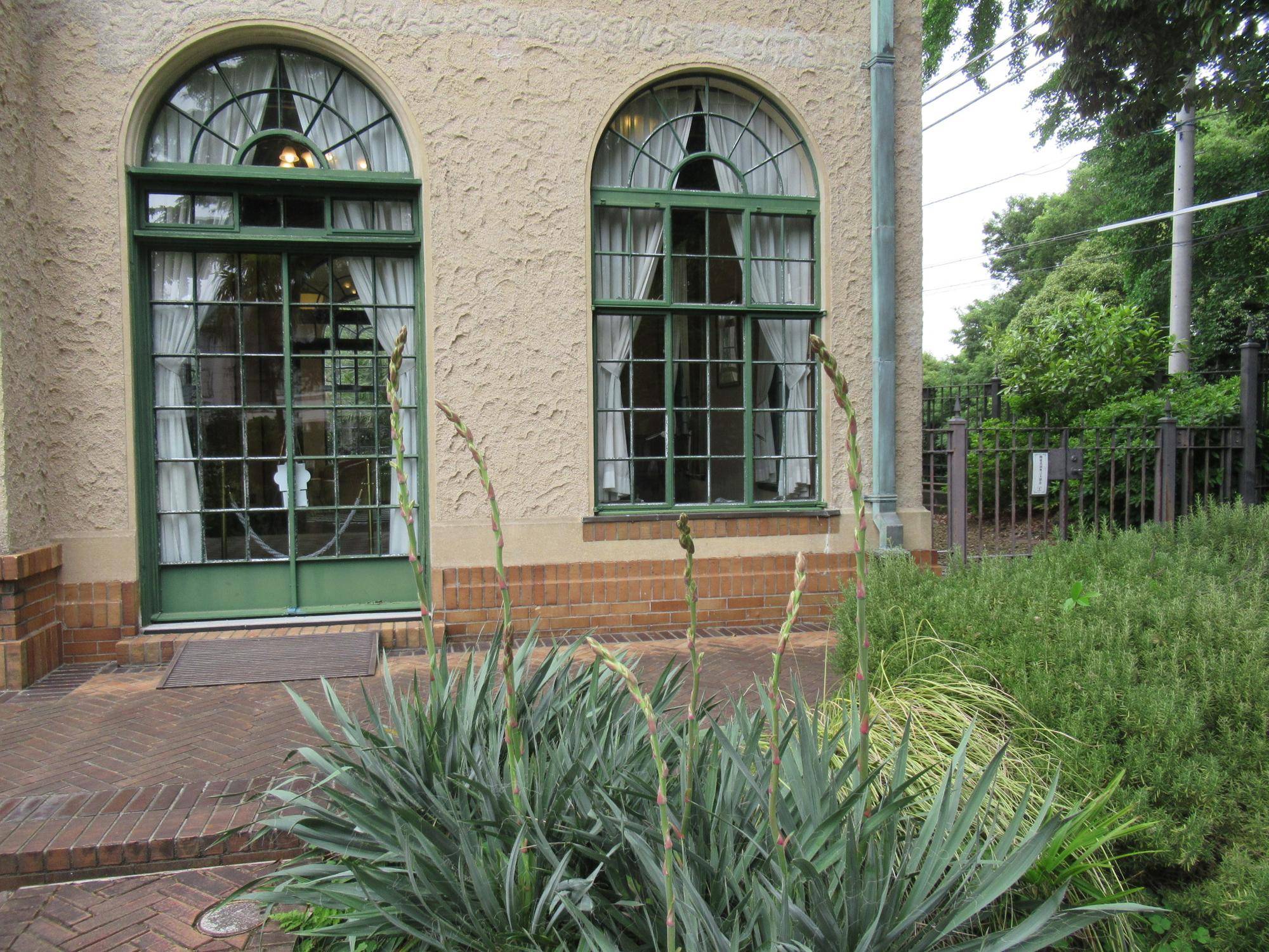 0519 イトラン (1).JPG