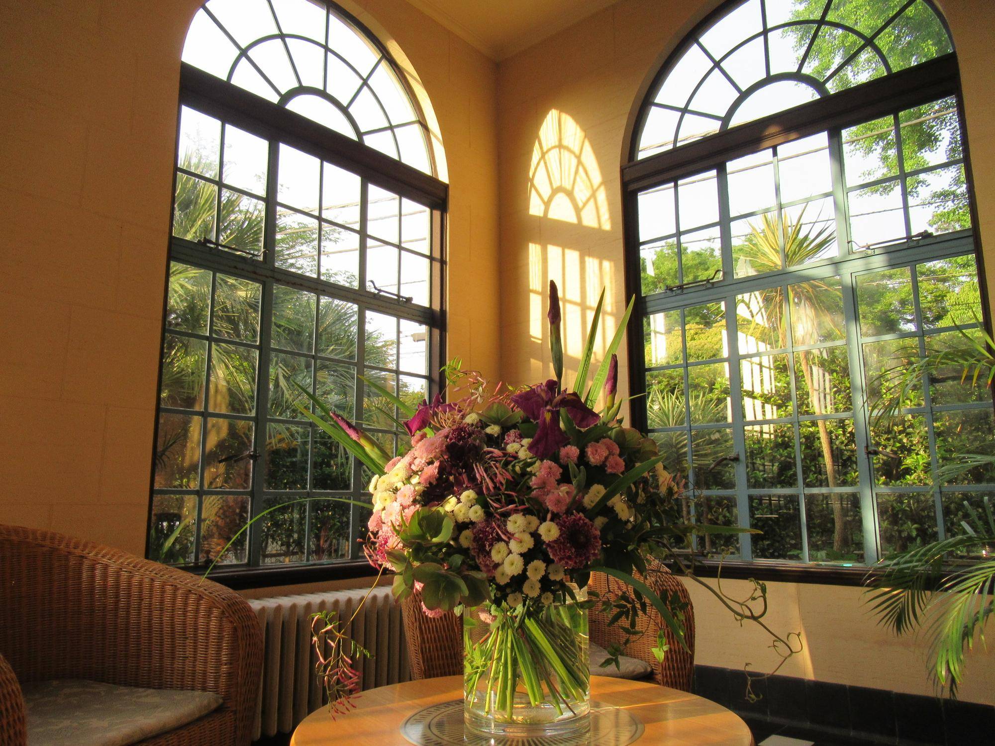 【ベーリック】端午の節句 (パームルーム）.JPG