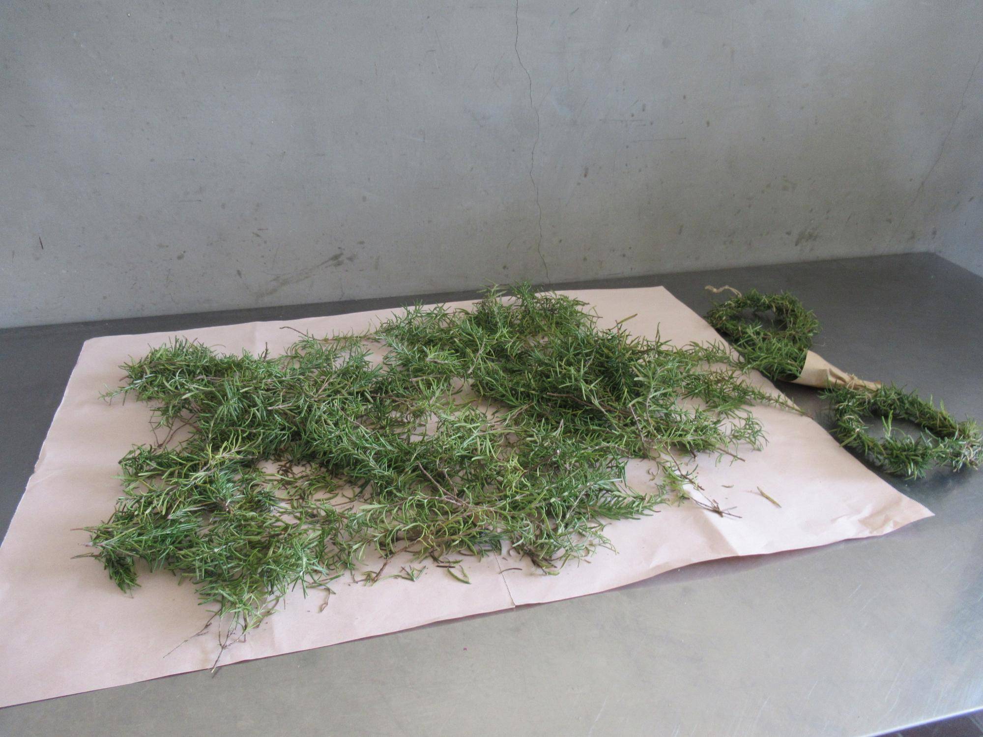 0617【ベーリック】ローズマリーの香り (5).JPG