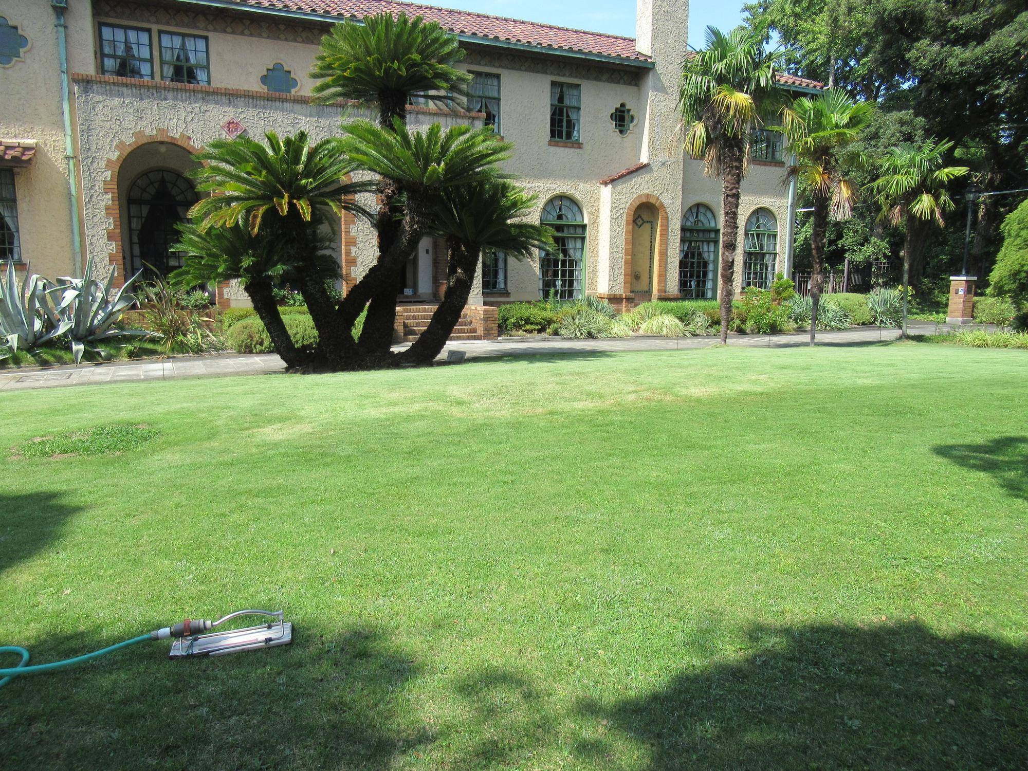 0821【ベーリック】芝刈り (1).JPG