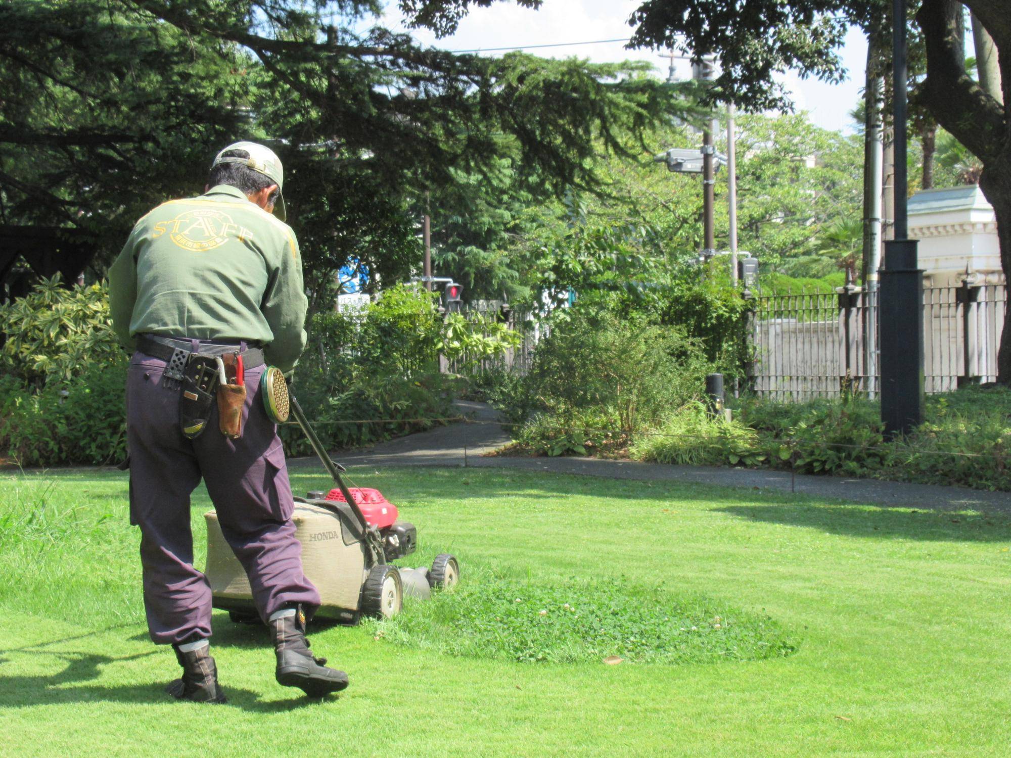 0821【ベーリック】芝刈り (2).JPG