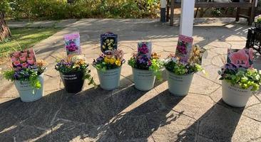 外交官の家　＜秋の山手ローズウィーク＞　秋の寄せ植え講座の画像