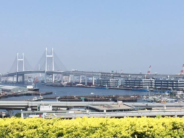 IMG_0090 ビュー.JPG