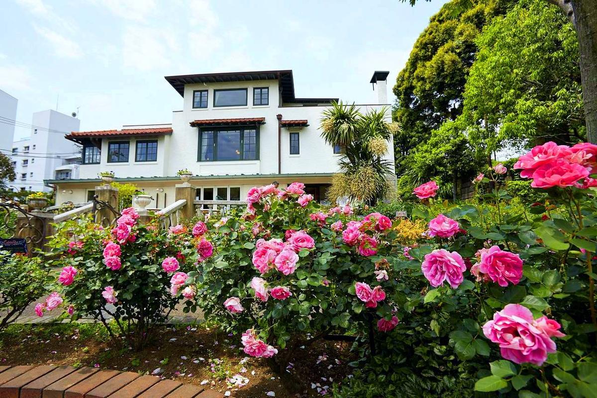 山手111番館トップ画像3