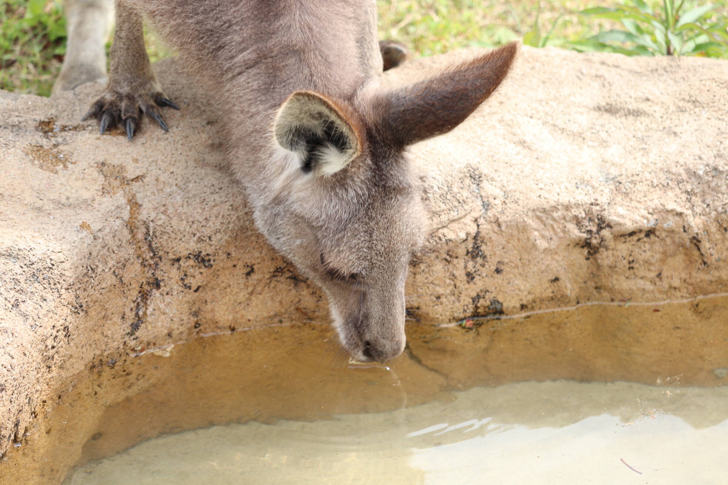 20200510 ブログ使用②.jpg