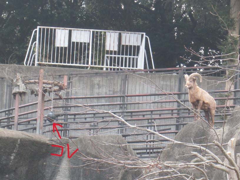 エサフィーダー (編集済).jpg