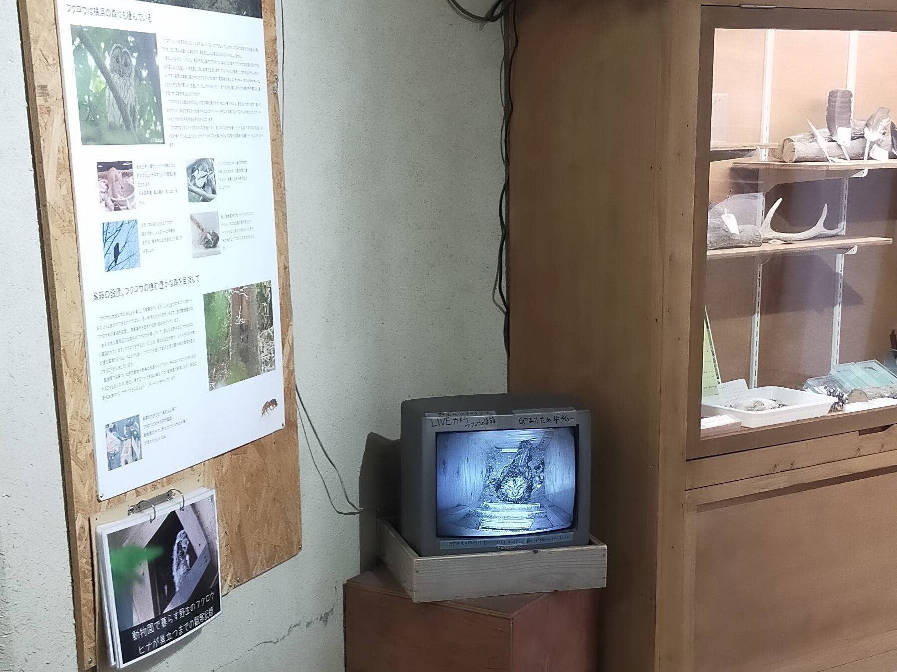 ⑦いきもの館モニター.jpg