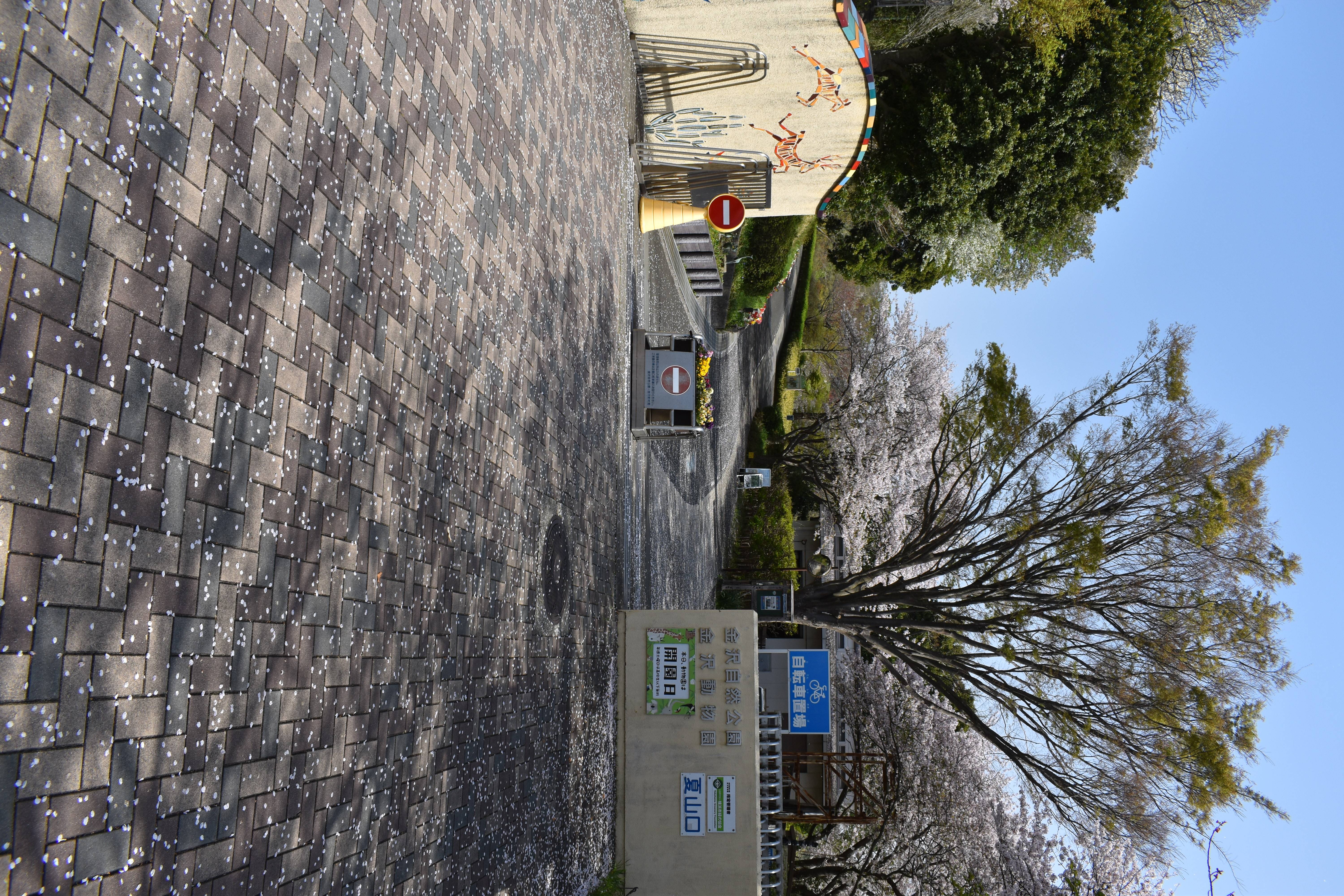 DSC_0011.jpg