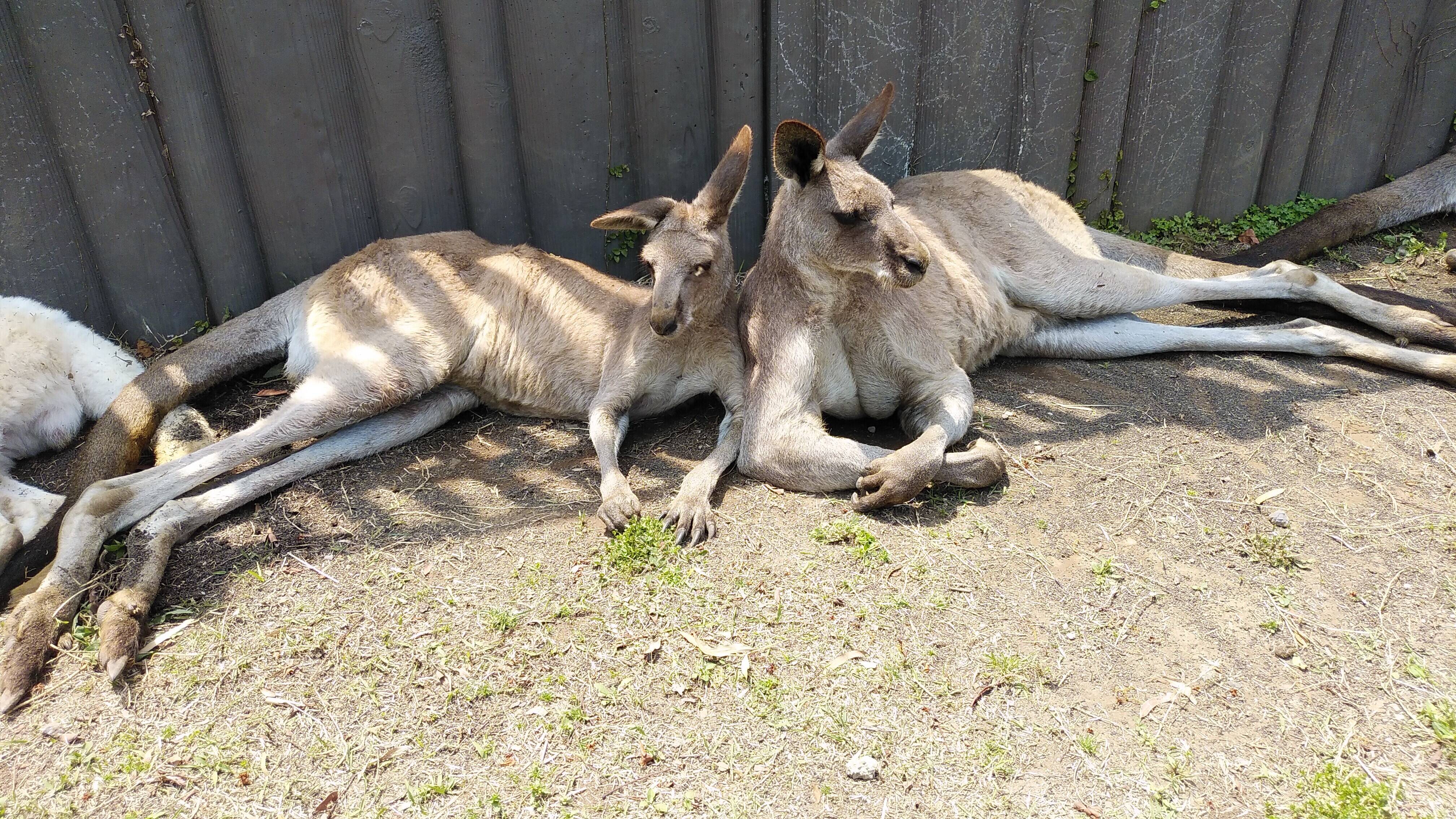 20200510 ブログ使用①.jpg