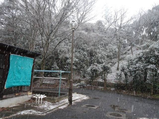 ⑤雪.jpg