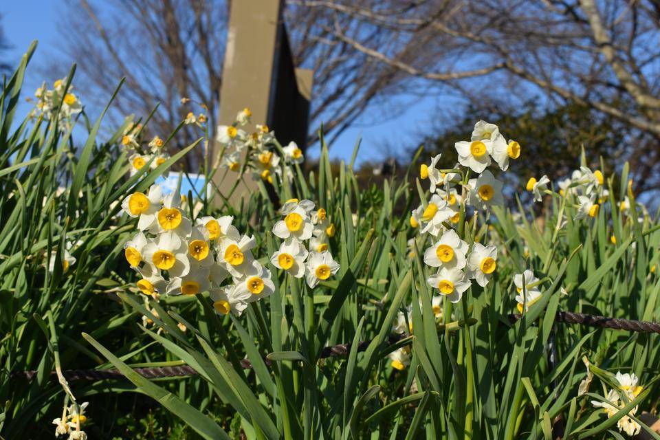 DSC_0015.jpg