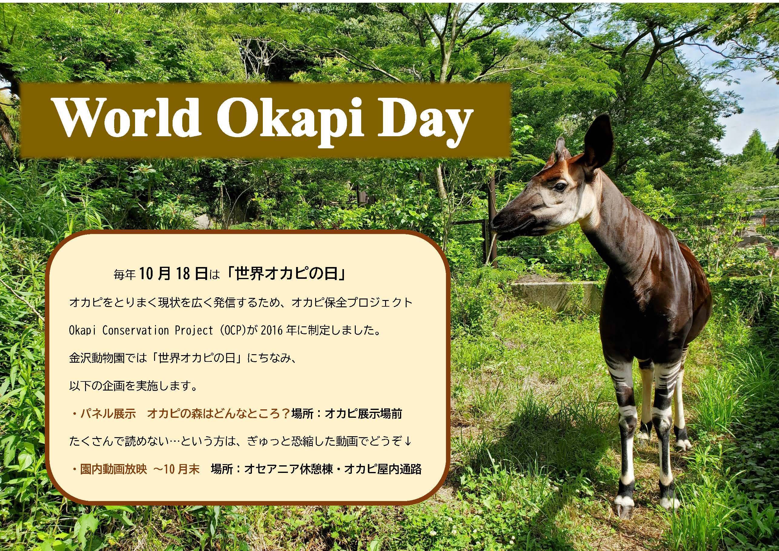 ①10月18日は世界オカピの日.jpg