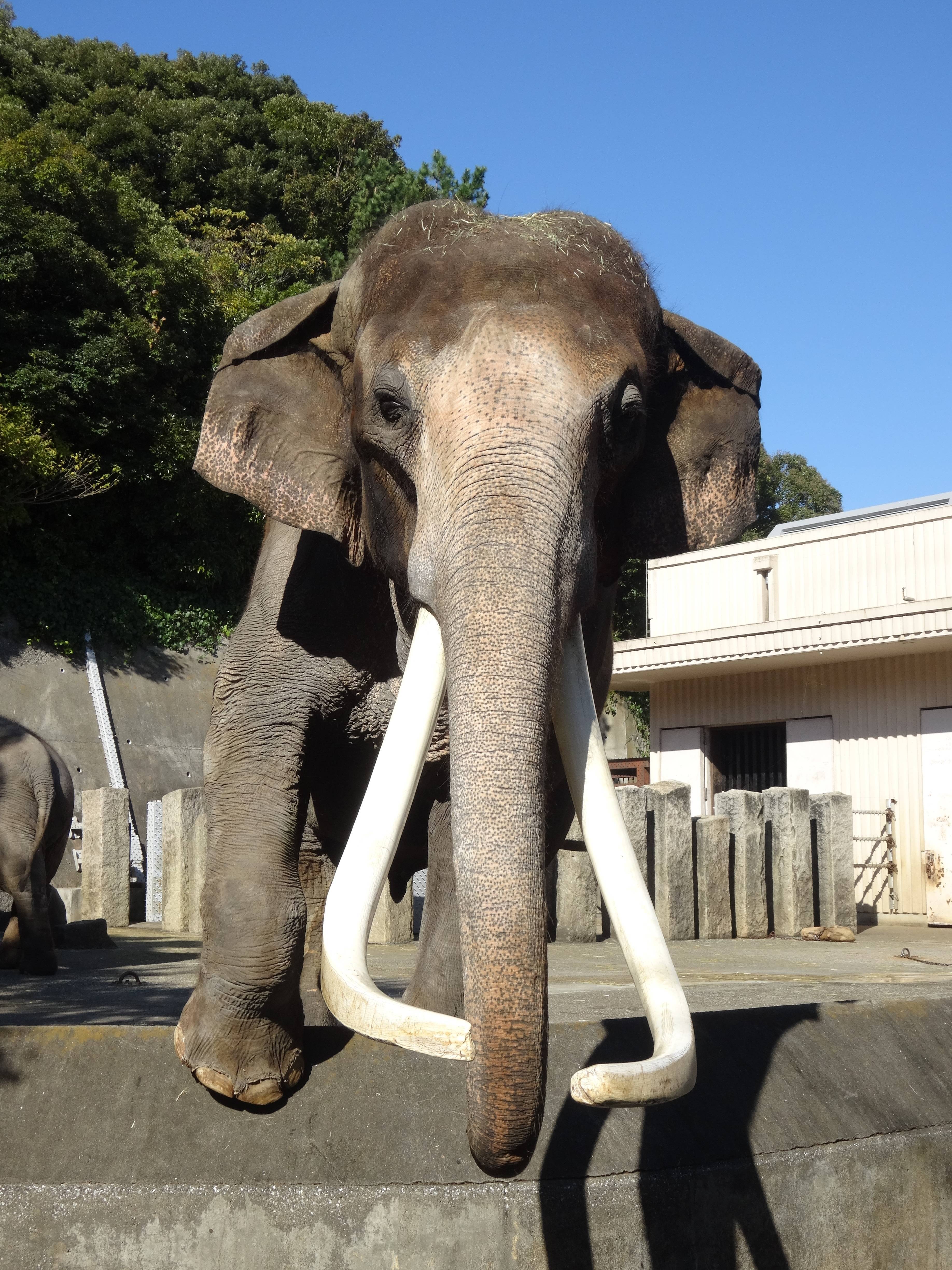 ホームページが新しくなりました!の写真
