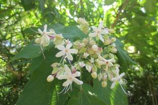 秋のみのりノリノリ♪