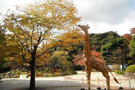 紅葉前線の写真