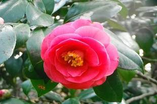 開通した「しだの谷」の様子