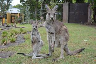 リニューアルオープンして1ヶ月