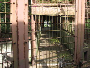 バックヤードでこんにちは