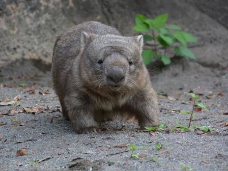 ヒロキありがとう!の写真