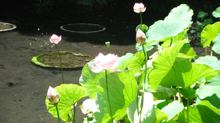 20160721-2.jpg
