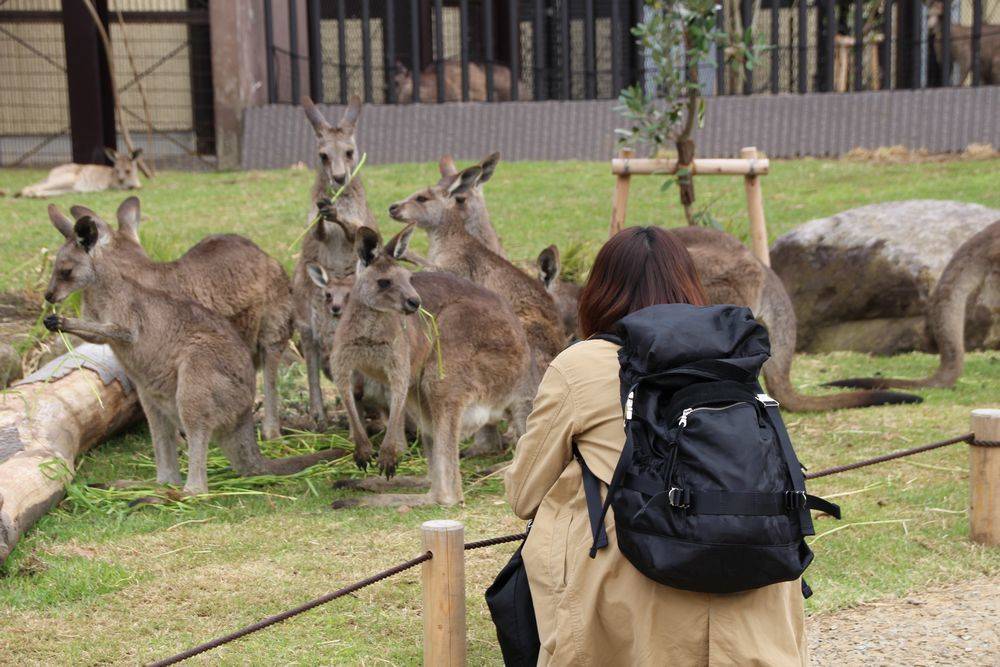 近づきすぎにはご注意の写真