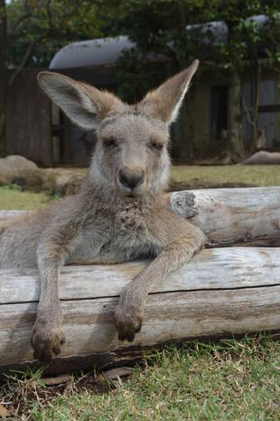 はまってます!!