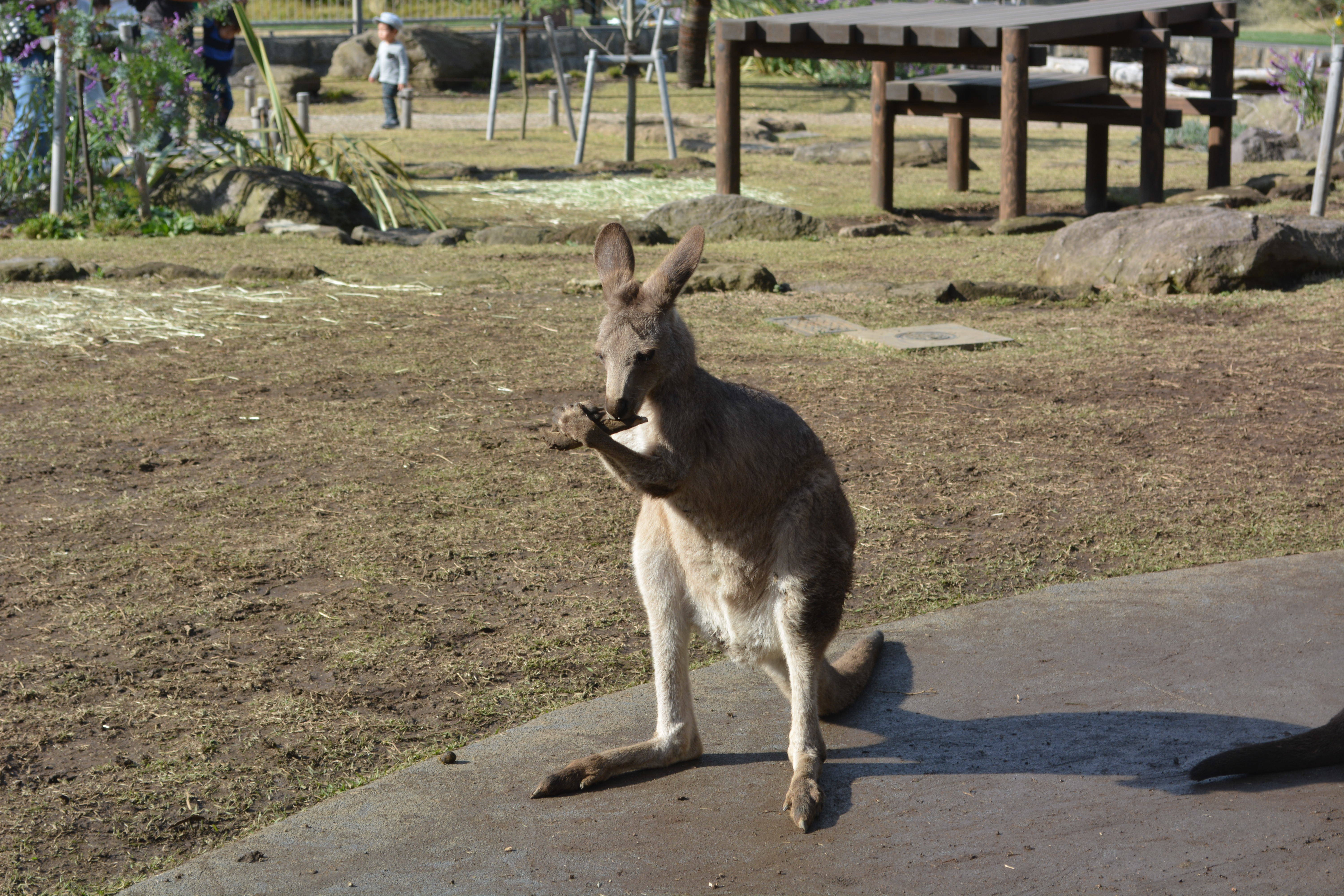 楽しい♪の写真