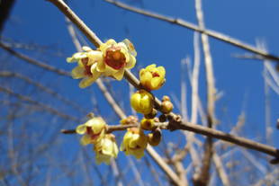 寒さに負けず！