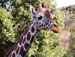 目のつけどころが...