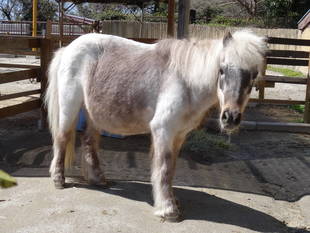 もうすぐ、春。