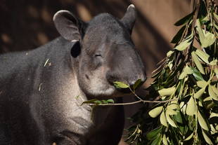 アグア はじめての屋内プール