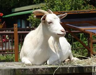 比べてみよう!5年前と今。