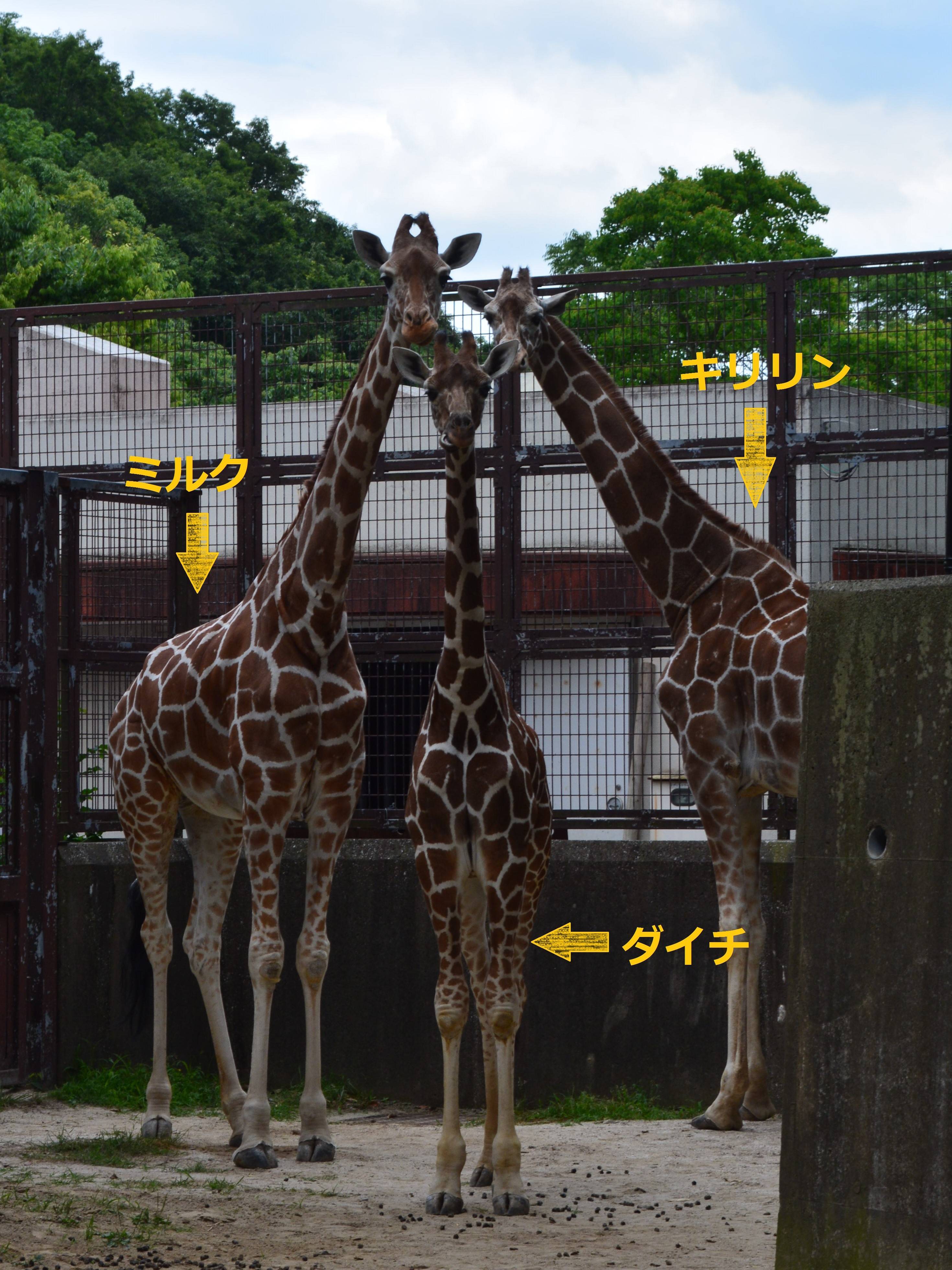 仲よくね!の写真