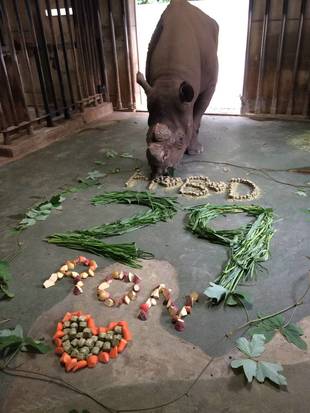 ヒガシクロサイ ロンの誕生日