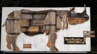 まさにアート!サイ担当者渾身のオブジェ!