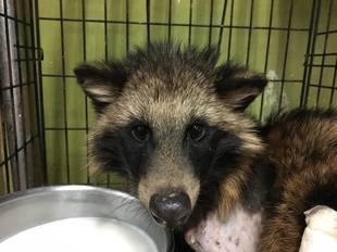 早く良くなってね！